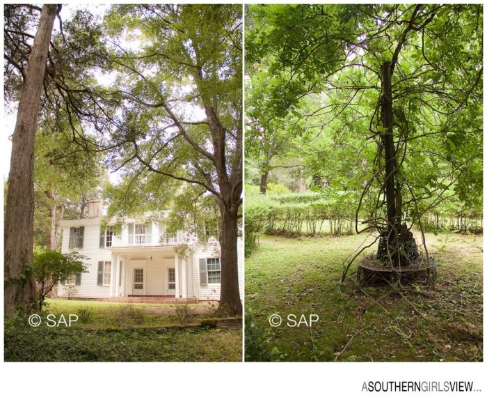 Sandy Adams Photography William Faulkner Rowan Oak-7414