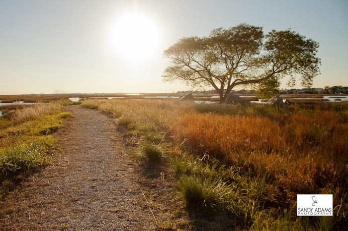 Sandy Adams Photography Galveston Island travel photographer-4449