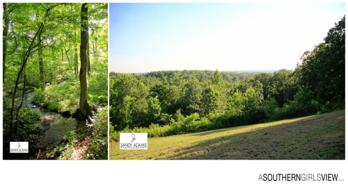 Sandy Adams Photography Meriweather Lewis grave A Southern Girls View Travel Photographer-6811
