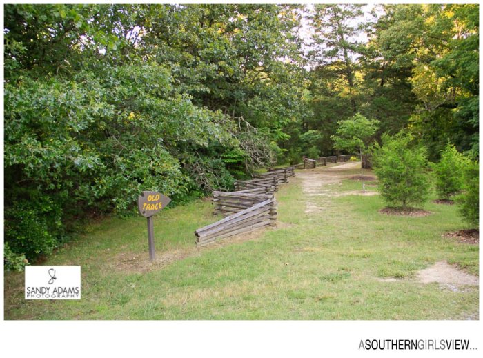 Sandy Adams Photography Meriweather Lewis grave A Southern Girls View Travel Photographer-6854