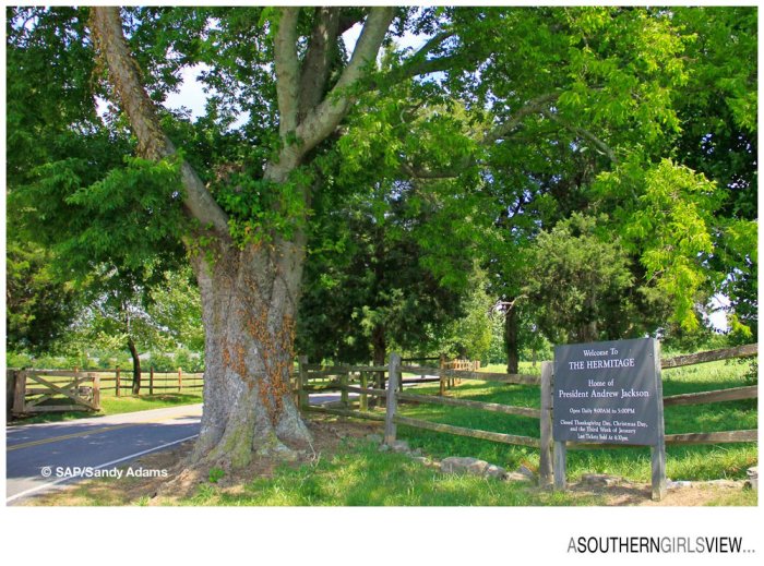 Sandy Adams Photography Hermitage Nashville Travel Photographer A Southern Girls View-20