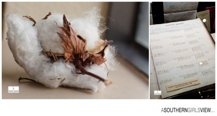 Sandy Adams Photography Cotton Exchange Memphis Editorial Photographer-6814