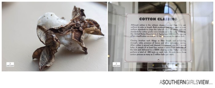 Sandy Adams Photography Cotton Exchange Memphis Editorial Photographer-6816