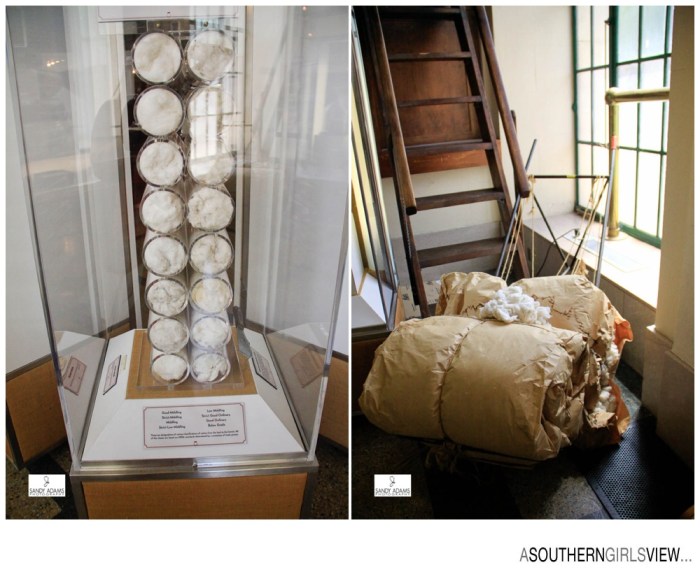 Sandy Adams Photography Cotton Exchange Memphis Editorial Photographer-6890