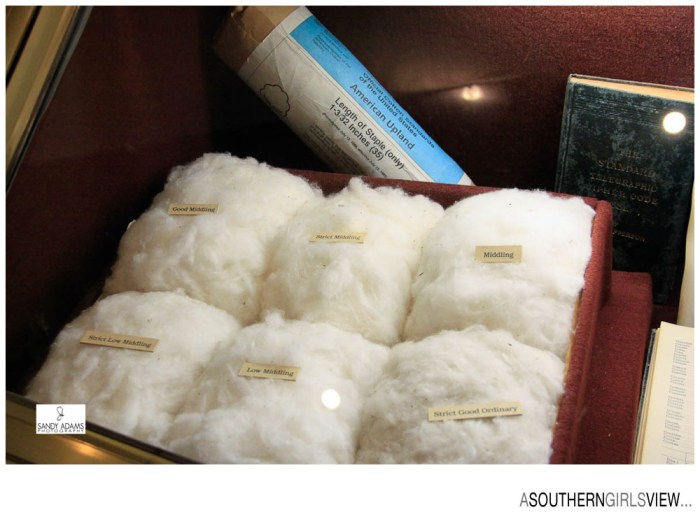 Sandy Adams Photography Cotton Exchange Memphis Editorial Photographer-6896