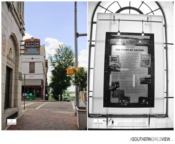 Sandy Adams Photography Cotton Exchange Memphis Editorial Photographer-6898