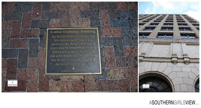 Sandy Adams Photography Cotton Exchange Memphis Editorial Photographer-6900