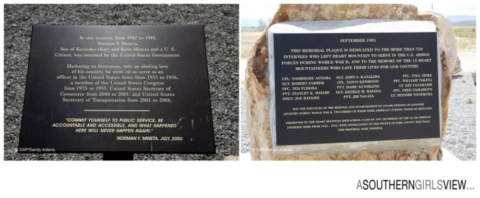 Sandy Adams Photography Houston Travel Writer Heart Relocation Center Wyoming-14