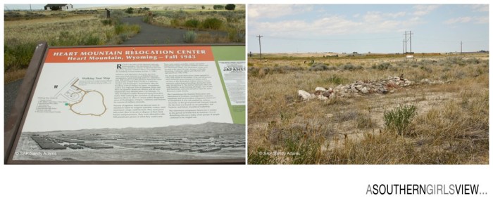 Sandy Adams Photography Houston Travel Writer Heart Relocation Center Wyoming-19