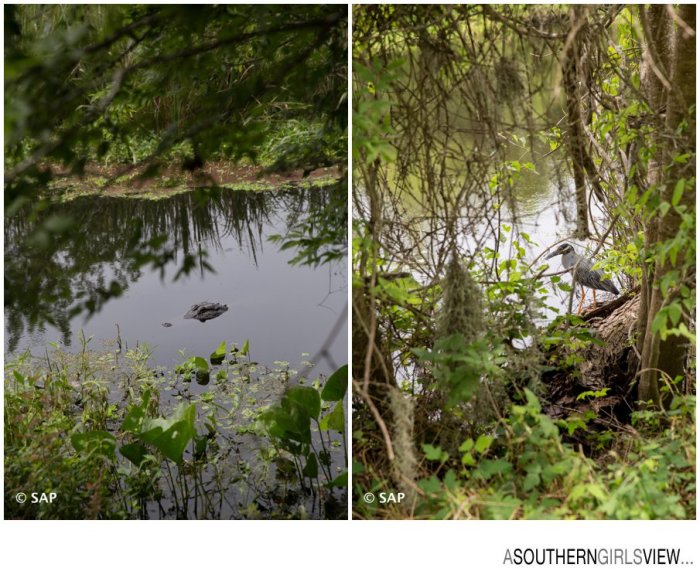 League City photographer Sandy Adams A Southern Girls View-14