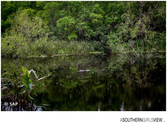 League City photographer Sandy Adams A Southern Girls View-15