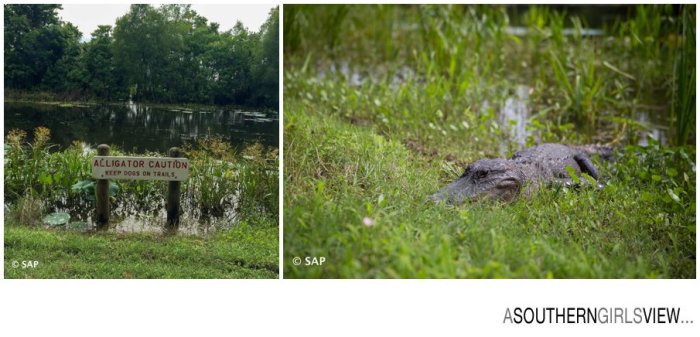 League City photographer Sandy Adams A Southern Girls View-19