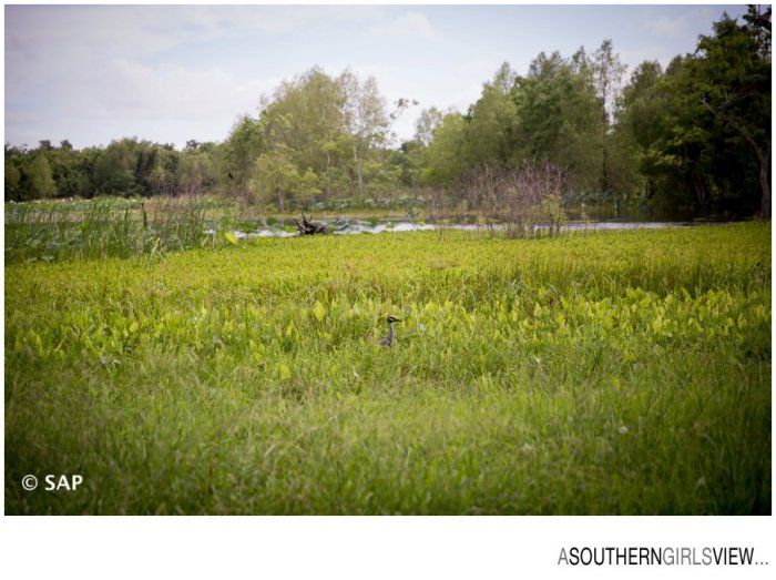 League City photographer Sandy Adams A Southern Girls View-22