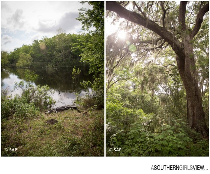 League City photographer Sandy Adams A Southern Girls View-26