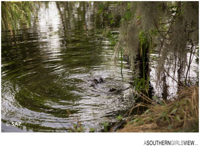 League City photographer Sandy Adams A Southern Girls View-28