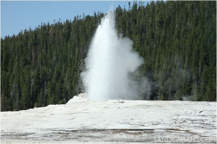 travel-writer-yellowstone-lucys-tales-league-city-houston-clear-lake-portrait-photographer-clear-lake-sandy-adams-photography6
