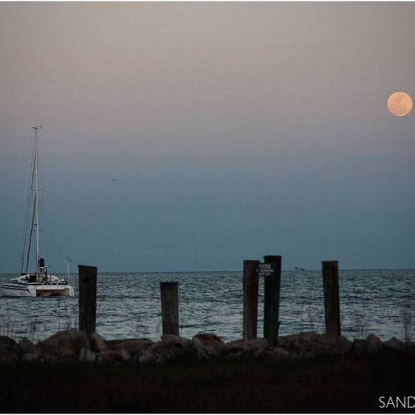 Full Moon Over Houston  |  A Southern Girl’s View with Sandy&nbsp;Adams