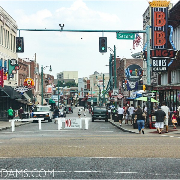 The History of the Blues: 1800 to Present with Sandy&nbsp;Adams