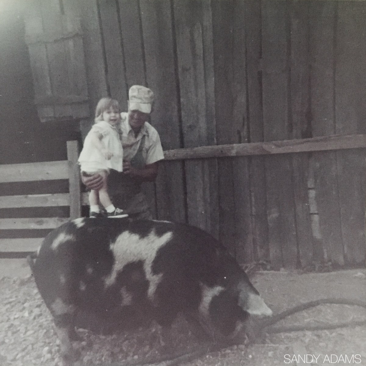 Father’s Day and A Southern Girl’s&nbsp;View